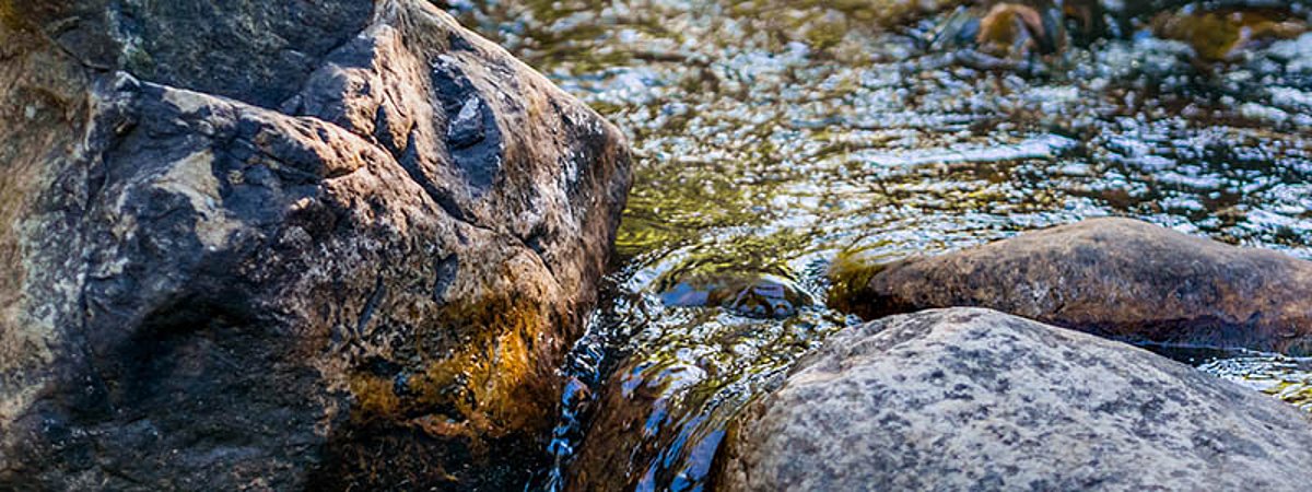 EnviroChemie Übernahme ProWaTech und Hauser + Walz