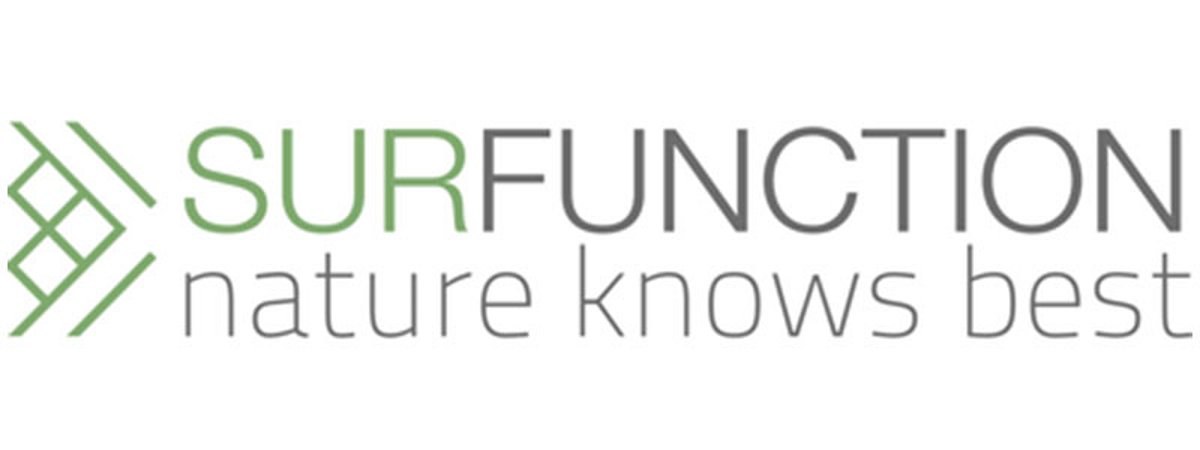 Surfunction Geschäftsleitung CSO CTO