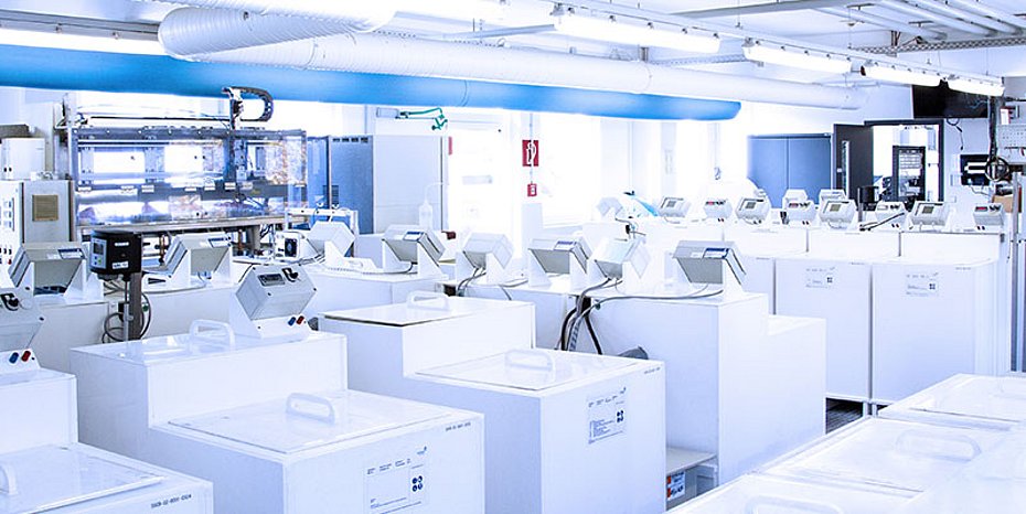 Platinbeschichtung Titankomponenten Elekrolyseuren Umicore