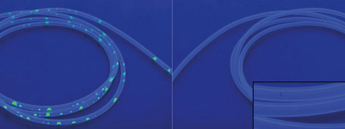Relyon Plasma Medical Technology Ireland 2024