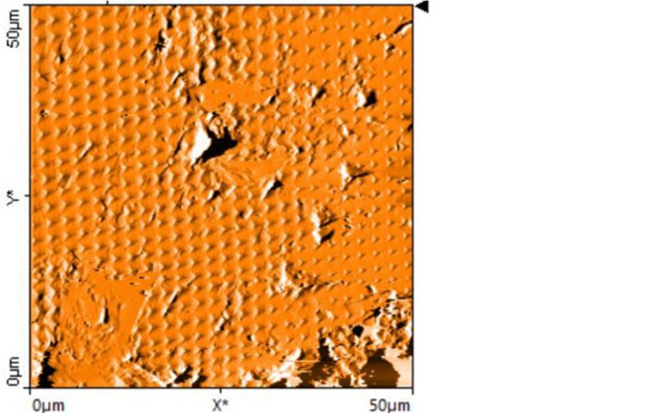 AFM Nanoindentation Oberflächenanalyse