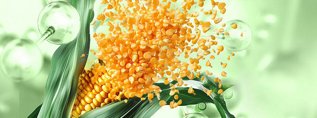 Hubergroup European Coatings Show 2025 biobasierte UV-Oligomere Beschichtungen