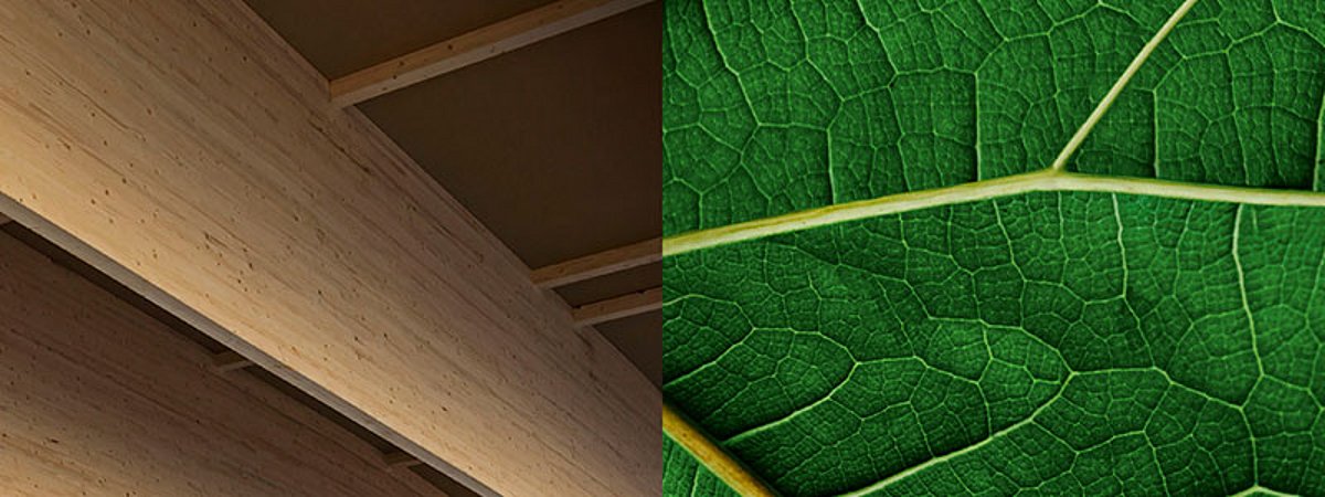 Pfleiderer EcoVadis Goldmedaille Nachhaltigkeit