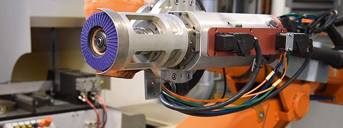 Schleiflamellenteller V4 Purple Power Lukas-Erzett