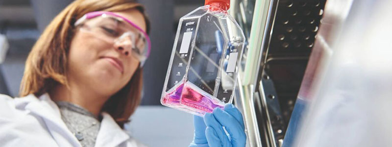 Evonik Additiv Phosphatmethacrylat Korrosionsschutz Haftvermittler