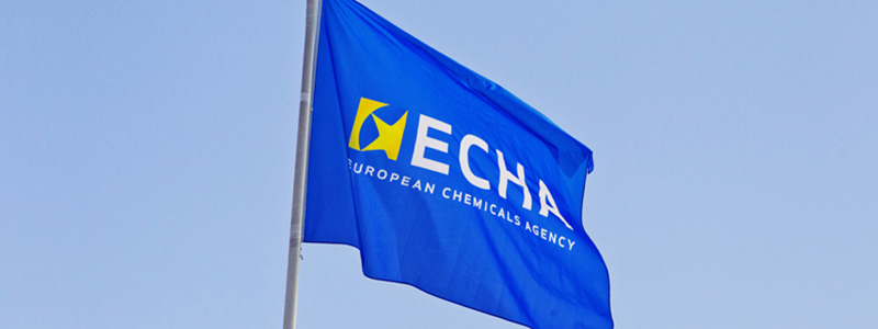 REACH Beschränkungsvorschlag PFAS