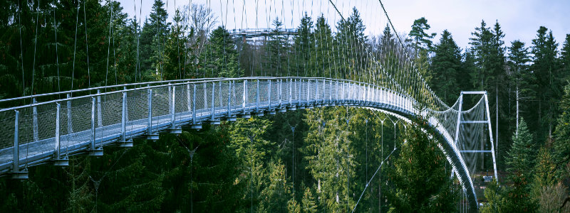 Vapic Schwarzwaldbrücke Logistik Lohnreinigung