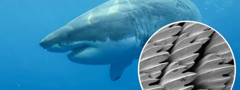 Hochschule Mittweida Haifischhaut Laserstrukturierung